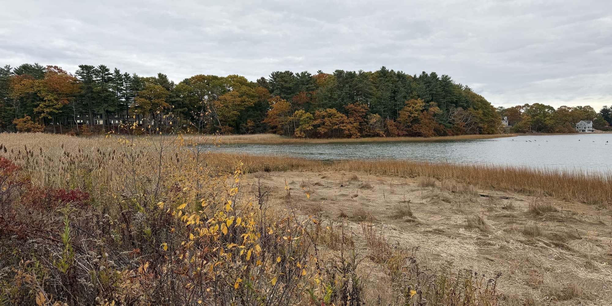 Second image to compare