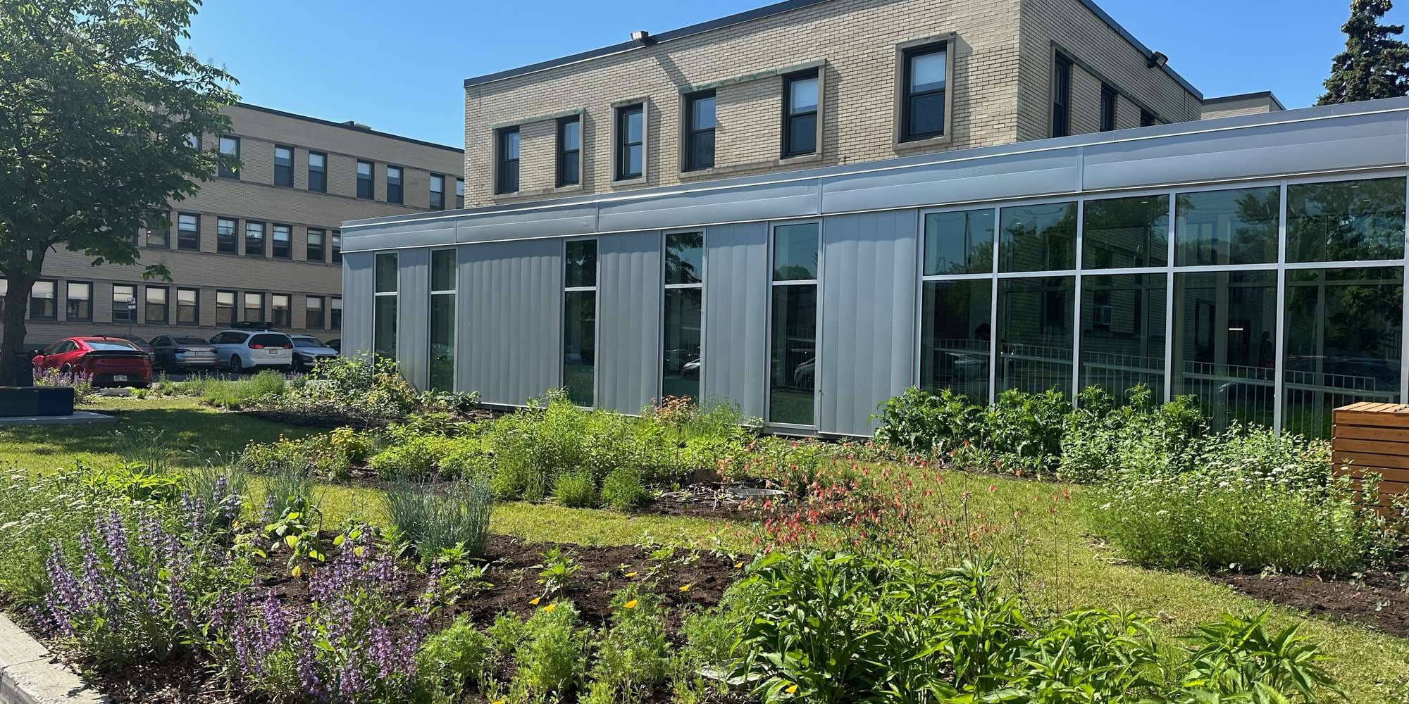 First image to compare