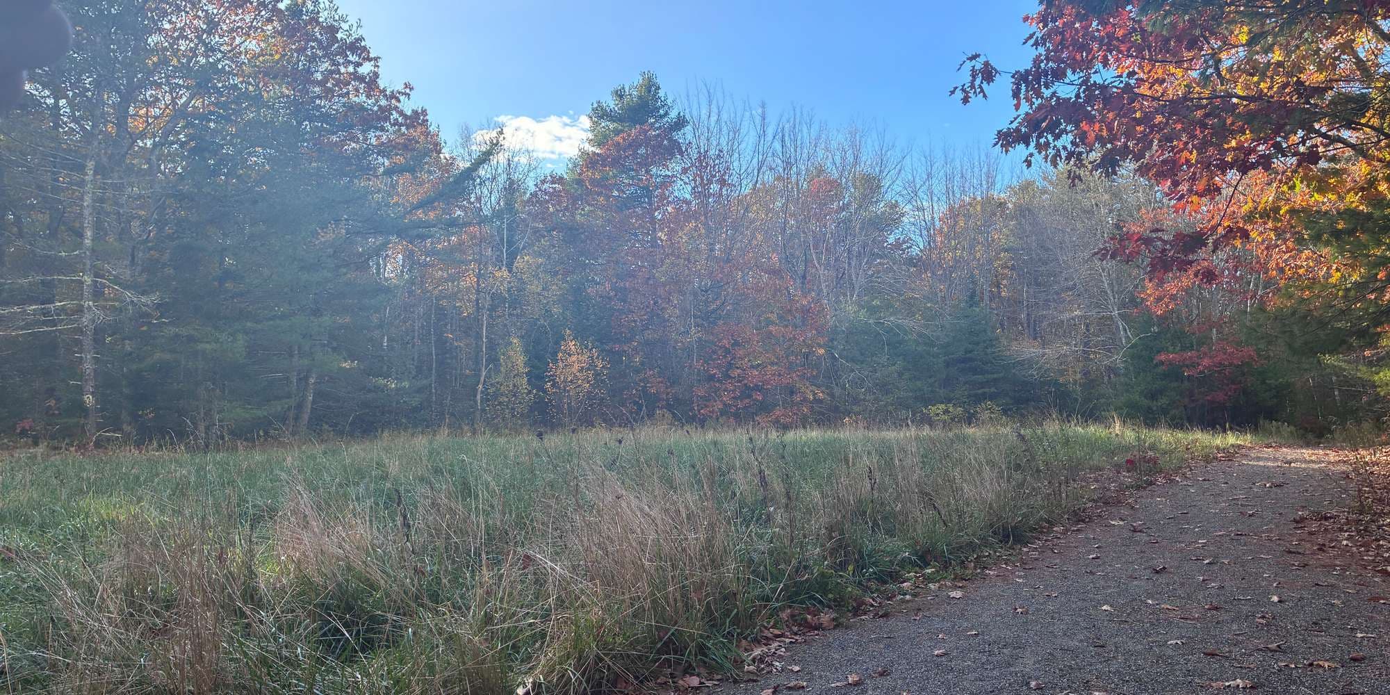 Second image to compare