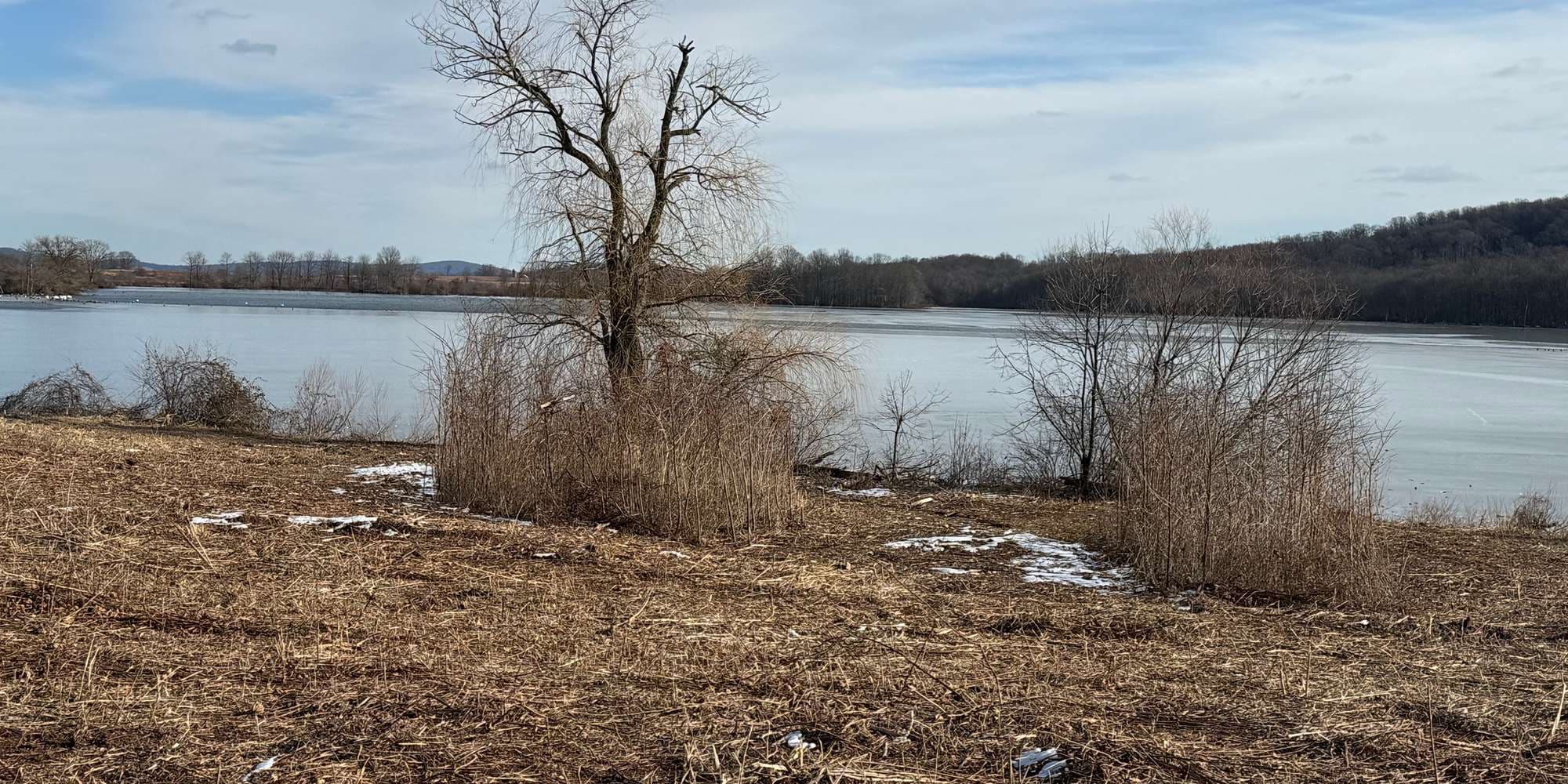 Second image to compare