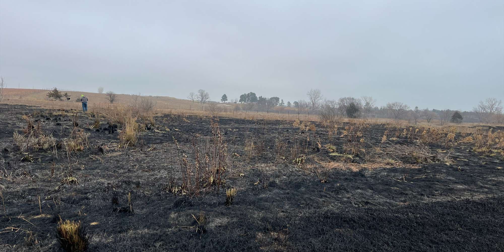 Second image to compare