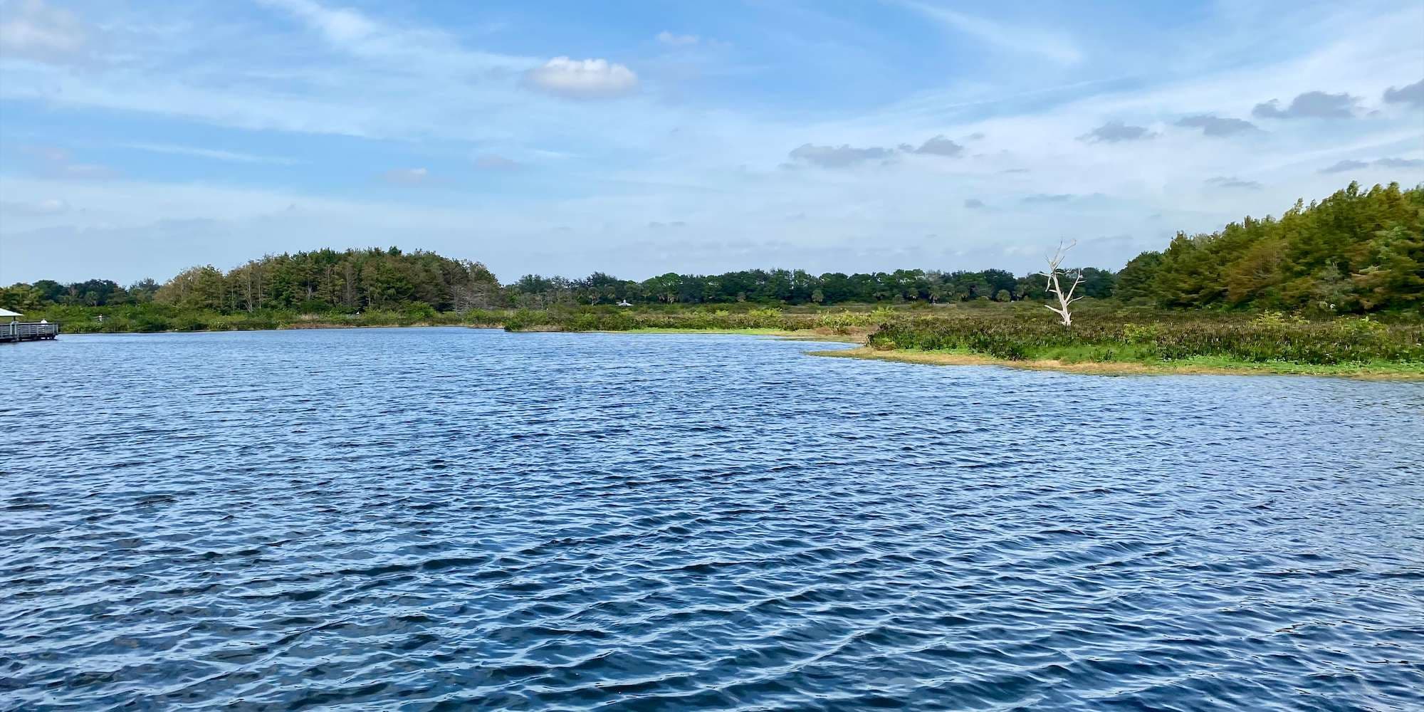 Second image to compare