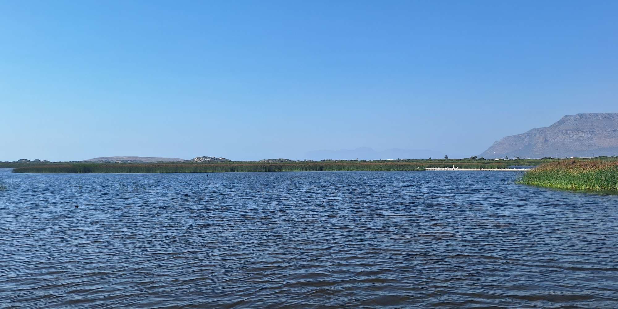 Second image to compare