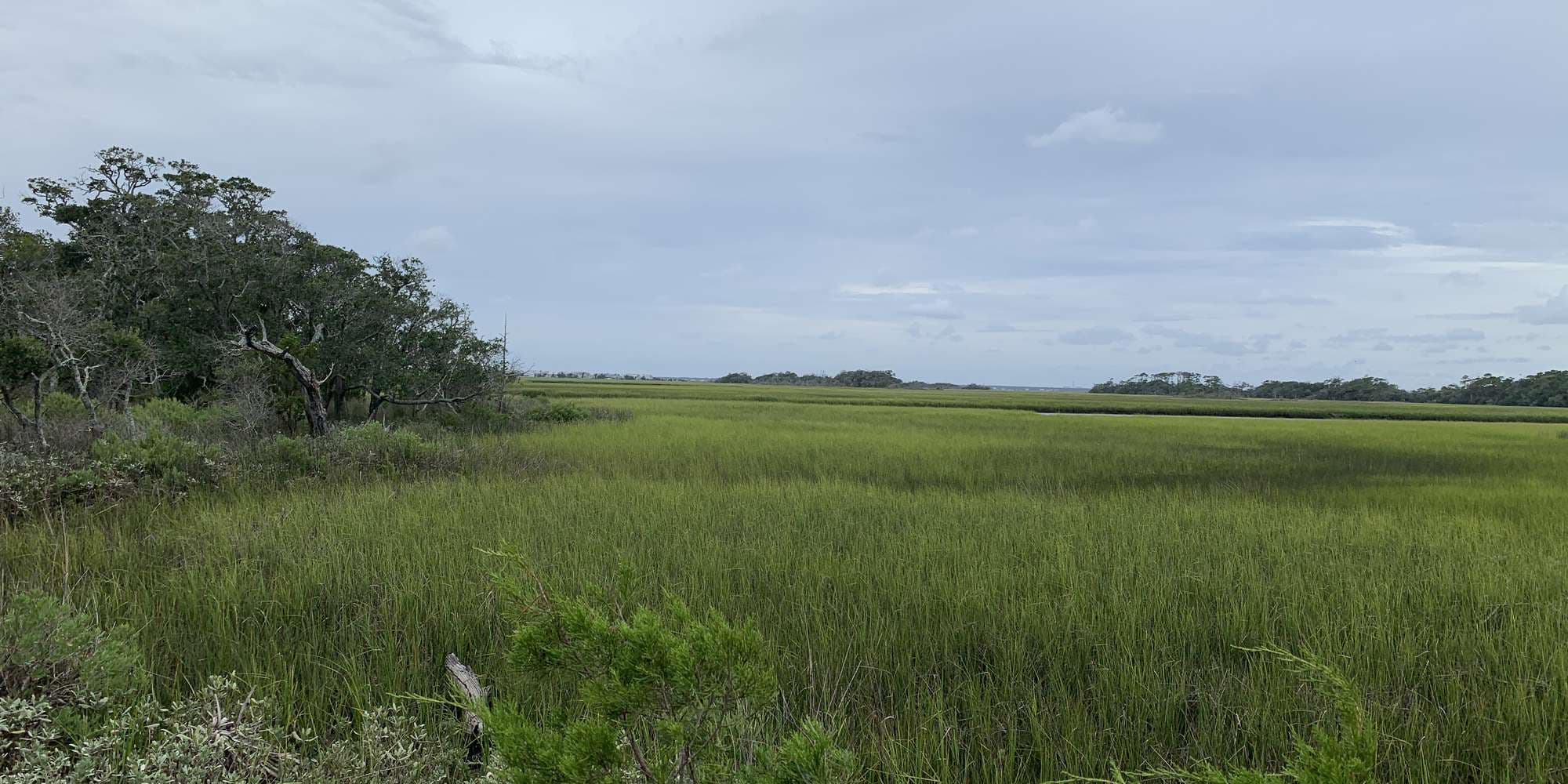 Second image to compare