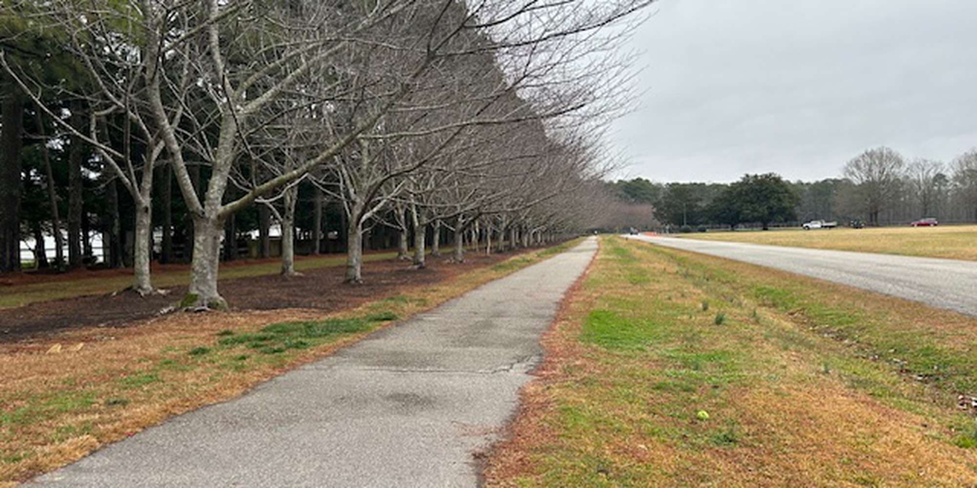 First image to compare