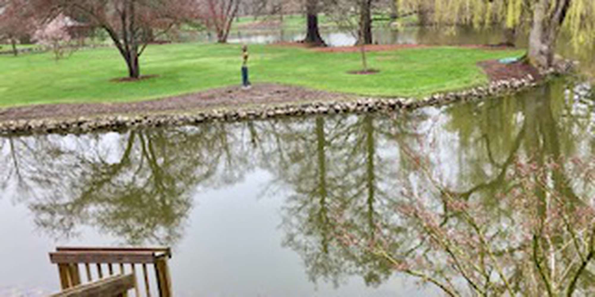 Second image to compare