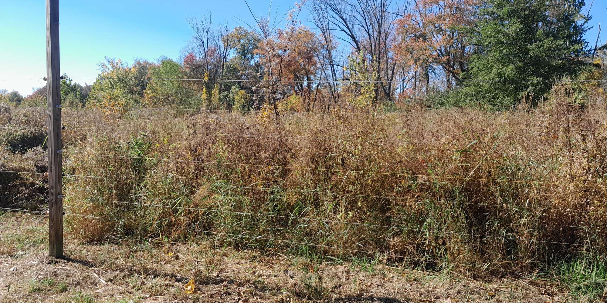 Second image to compare