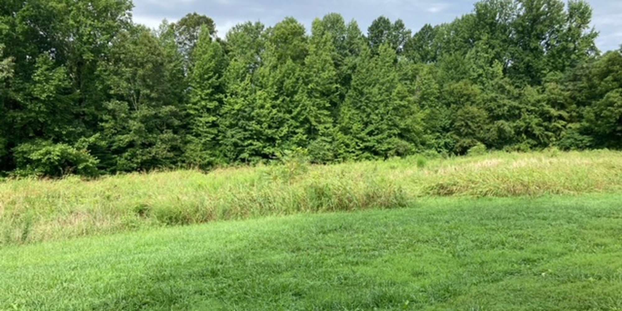 First image to compare