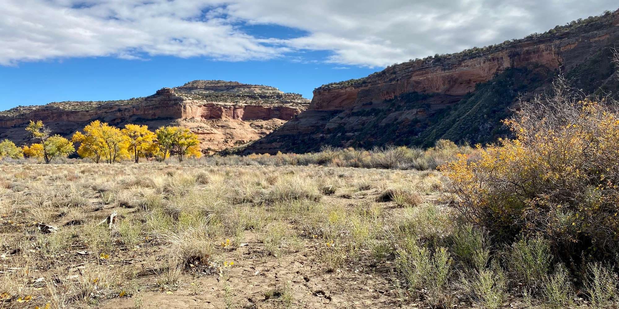 First image to compare