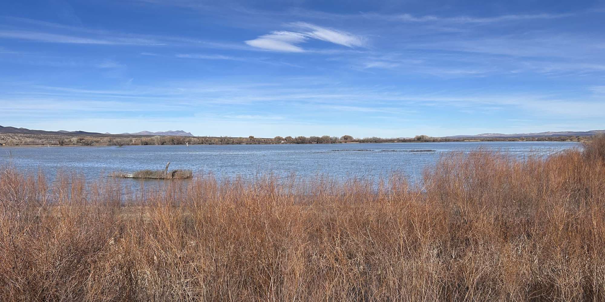 Second image to compare