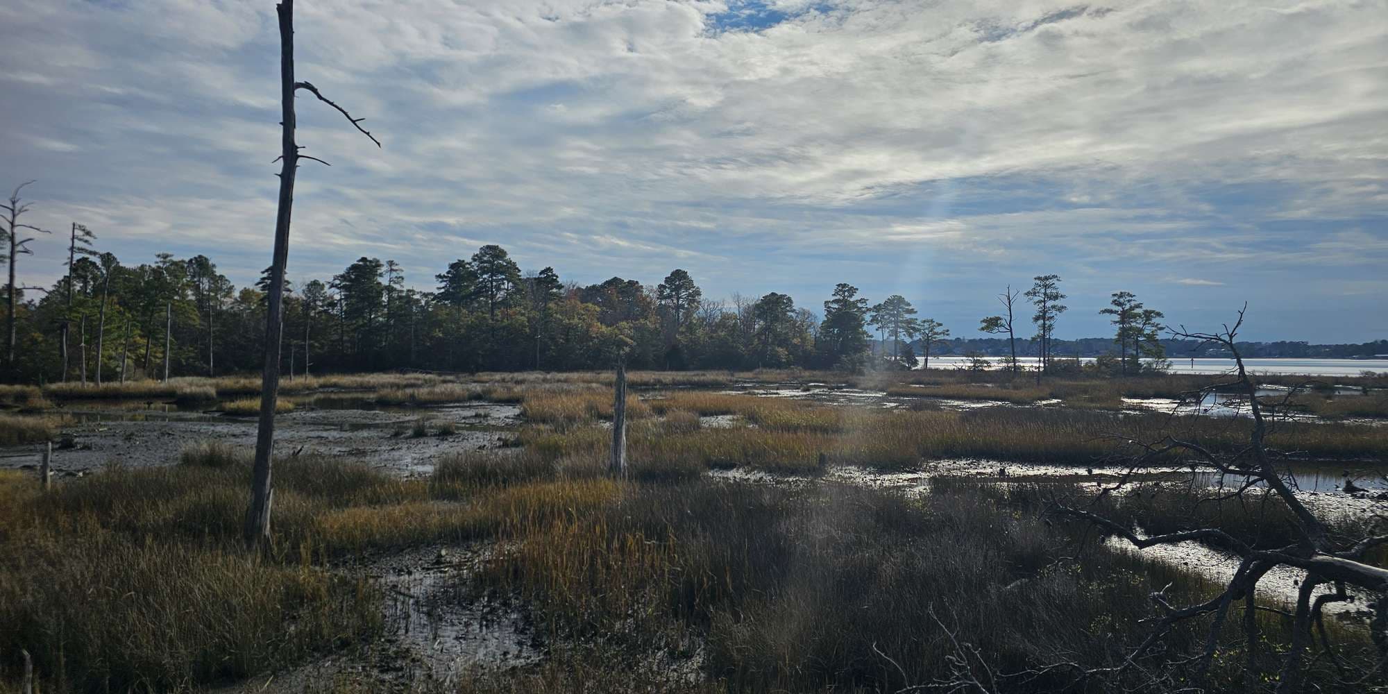 Second image to compare