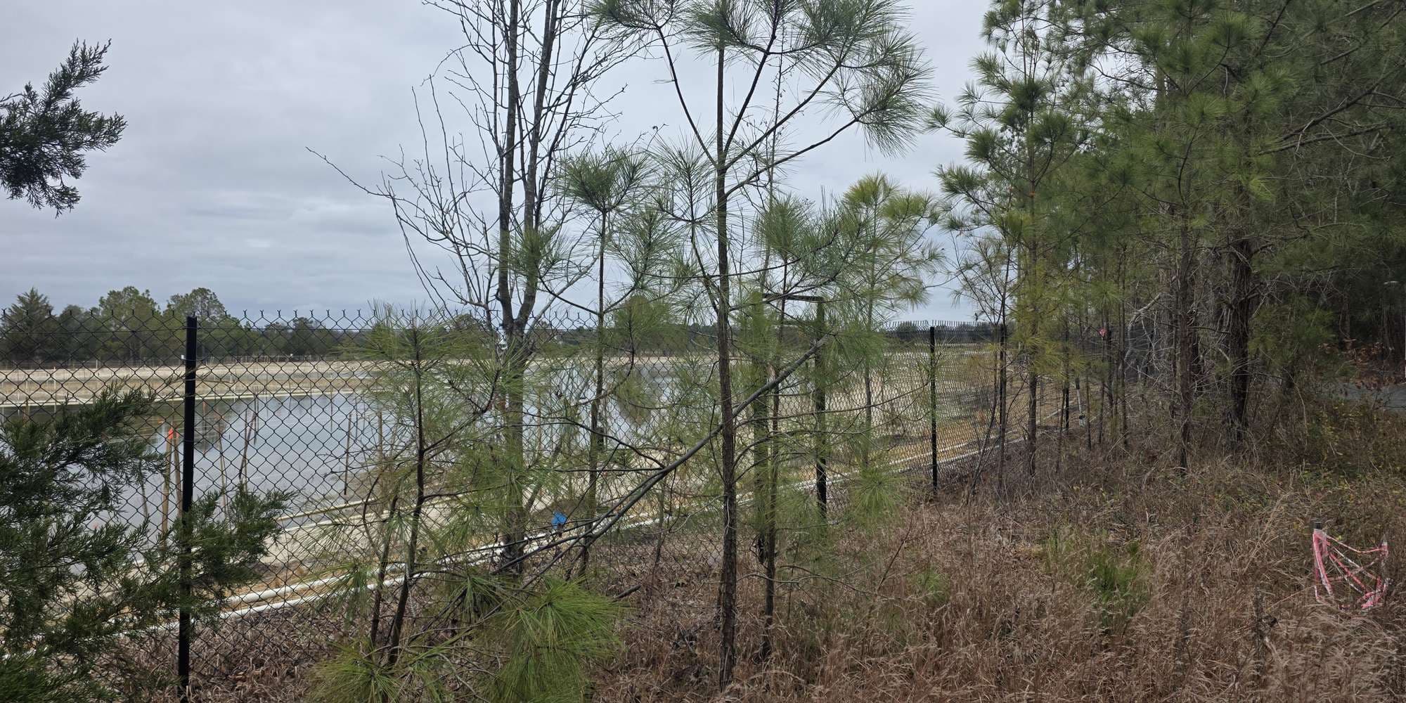 Second image to compare