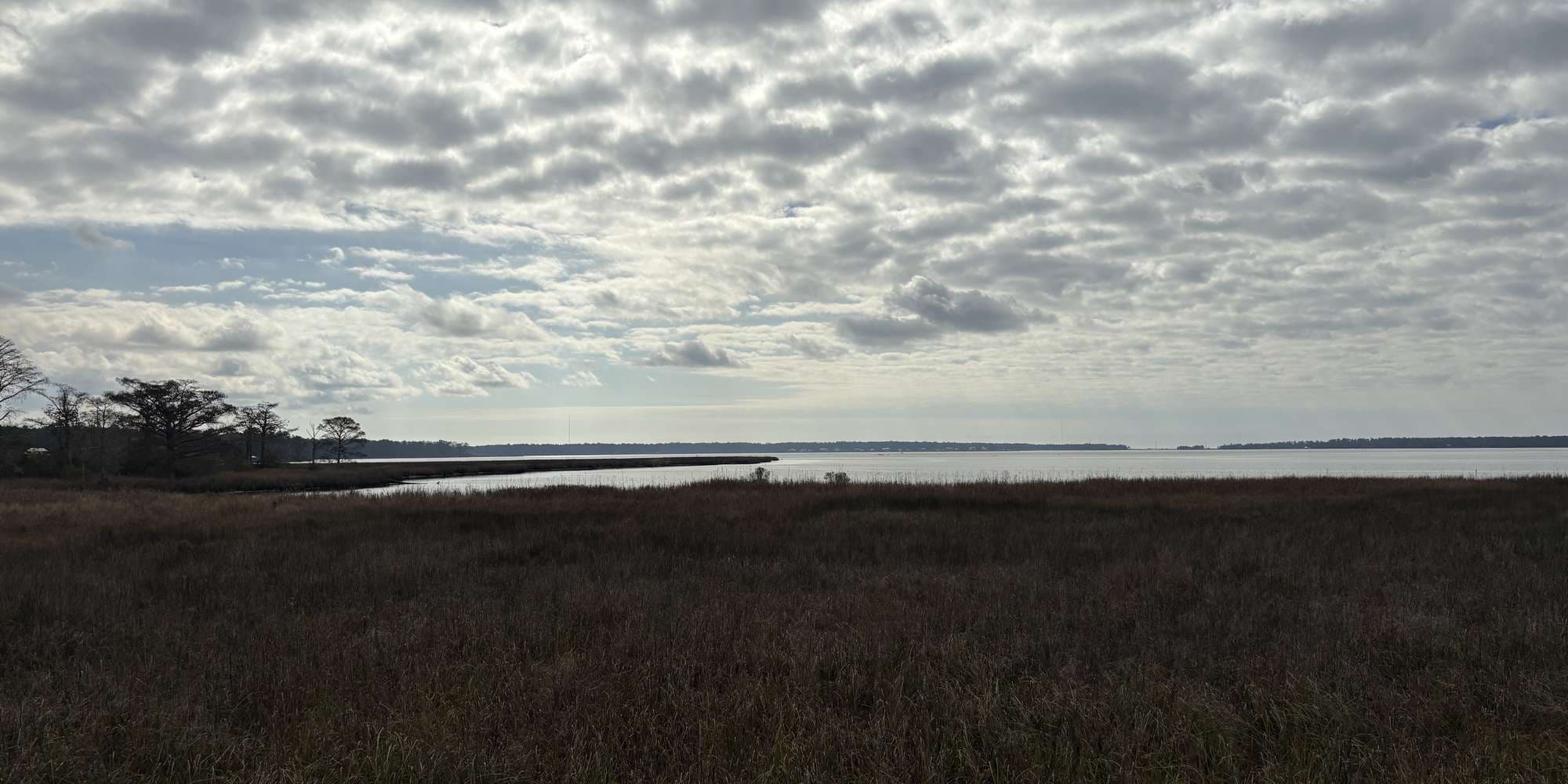 Second image to compare