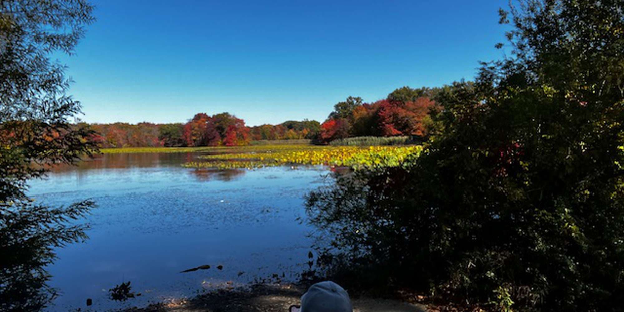 Second image to compare