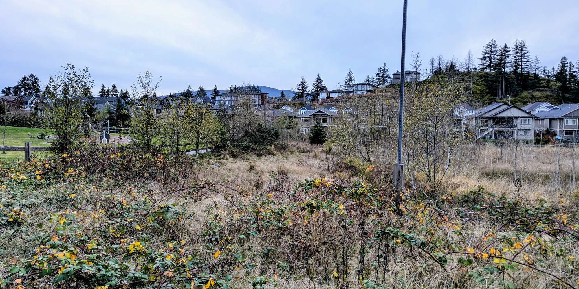 Second image to compare