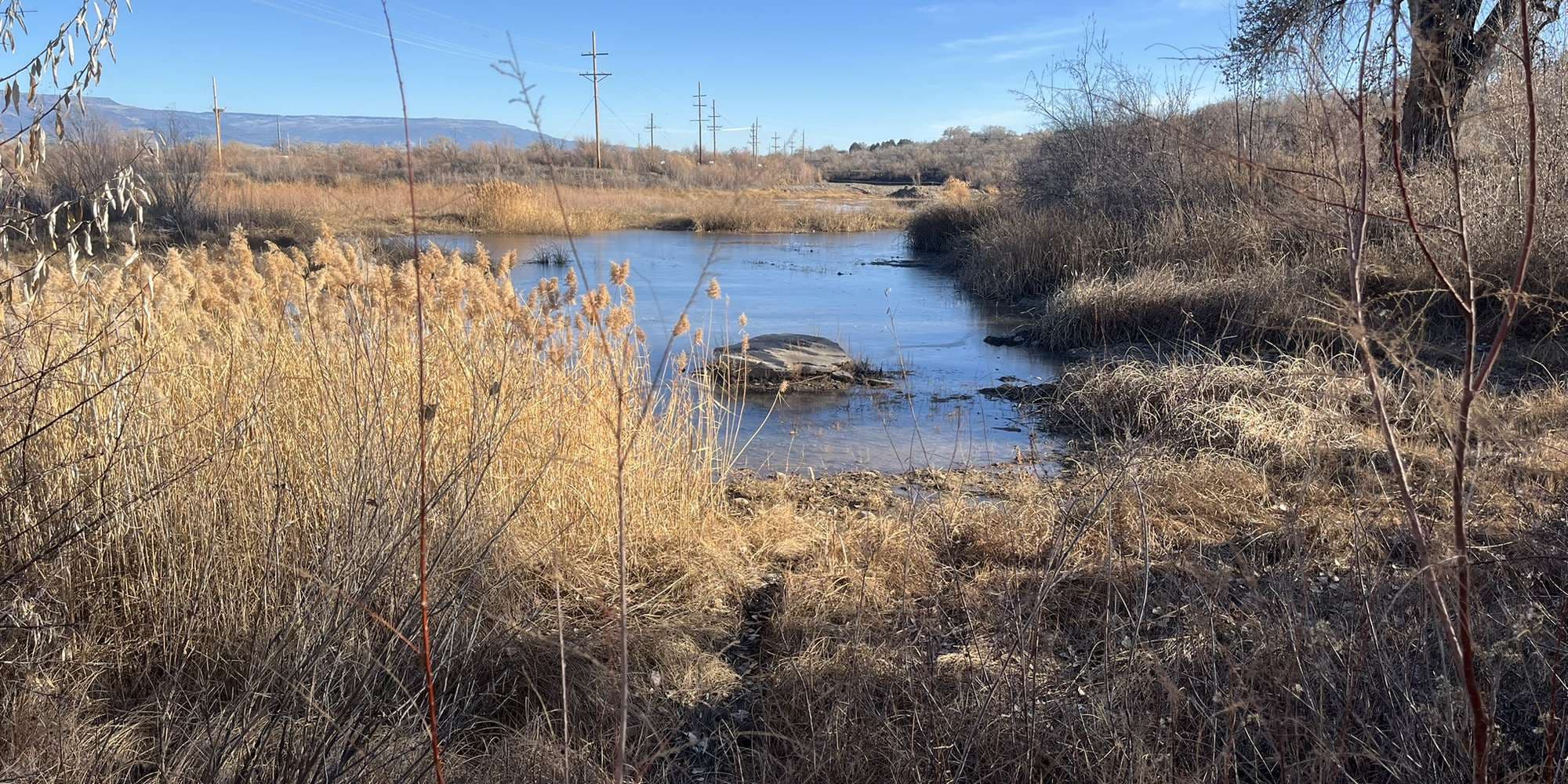 Second image to compare