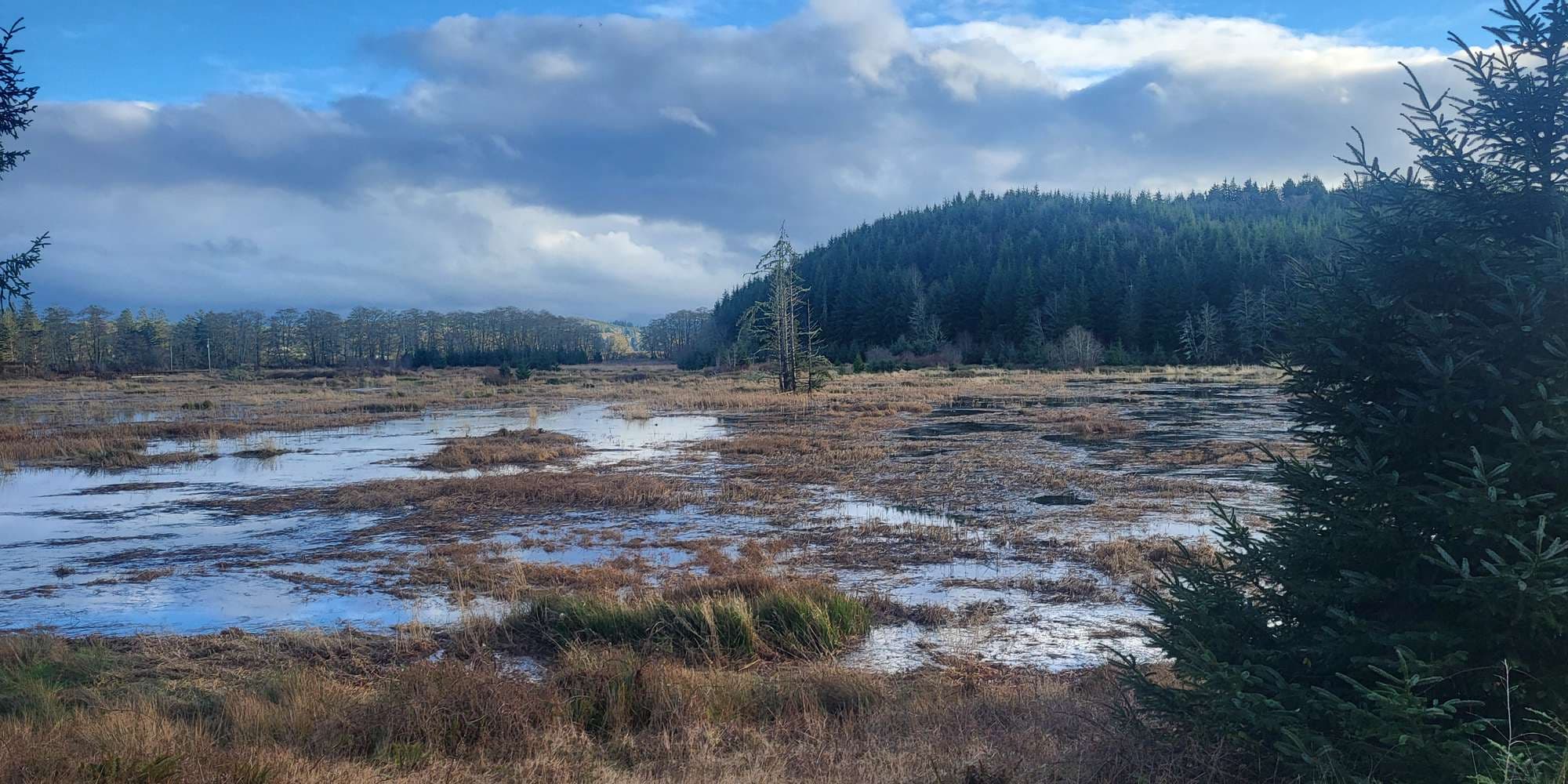 Second image to compare