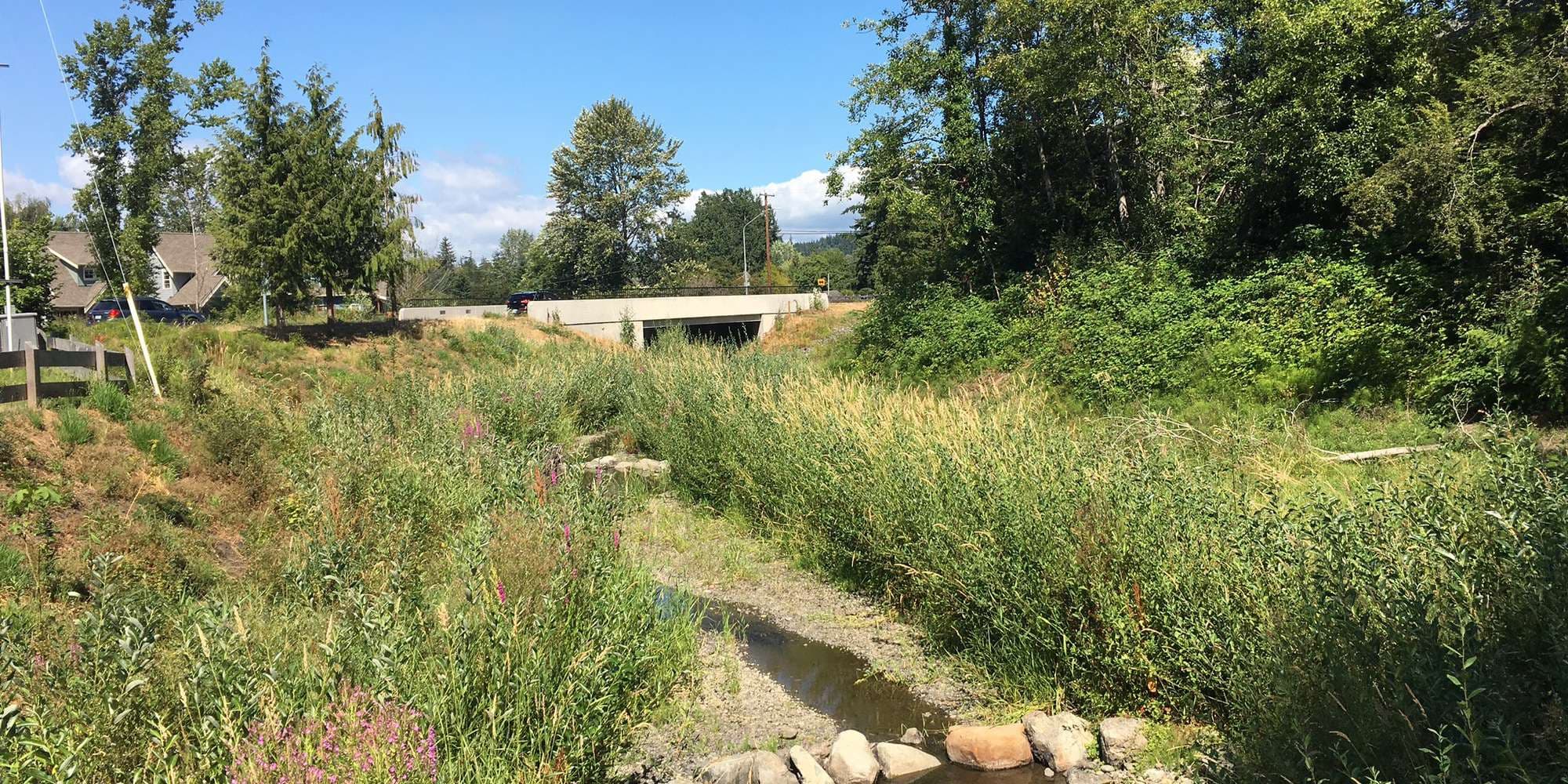 First image to compare