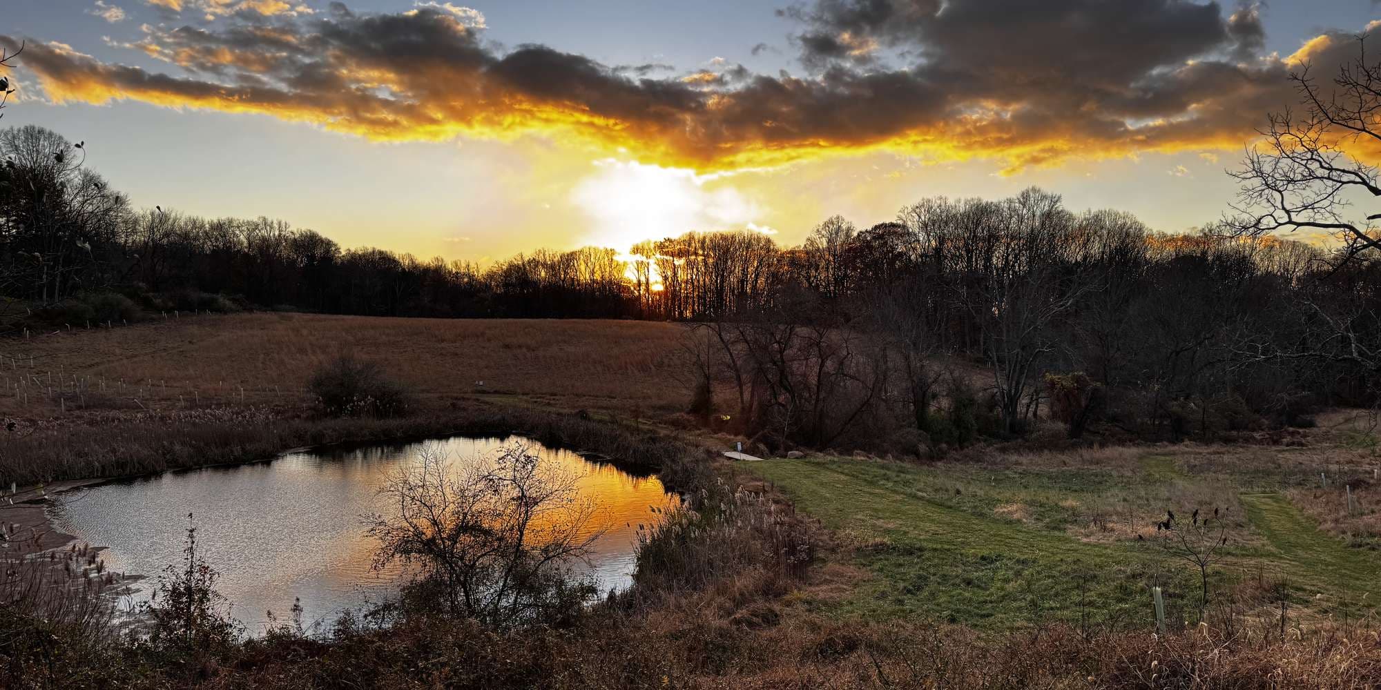 Second image to compare