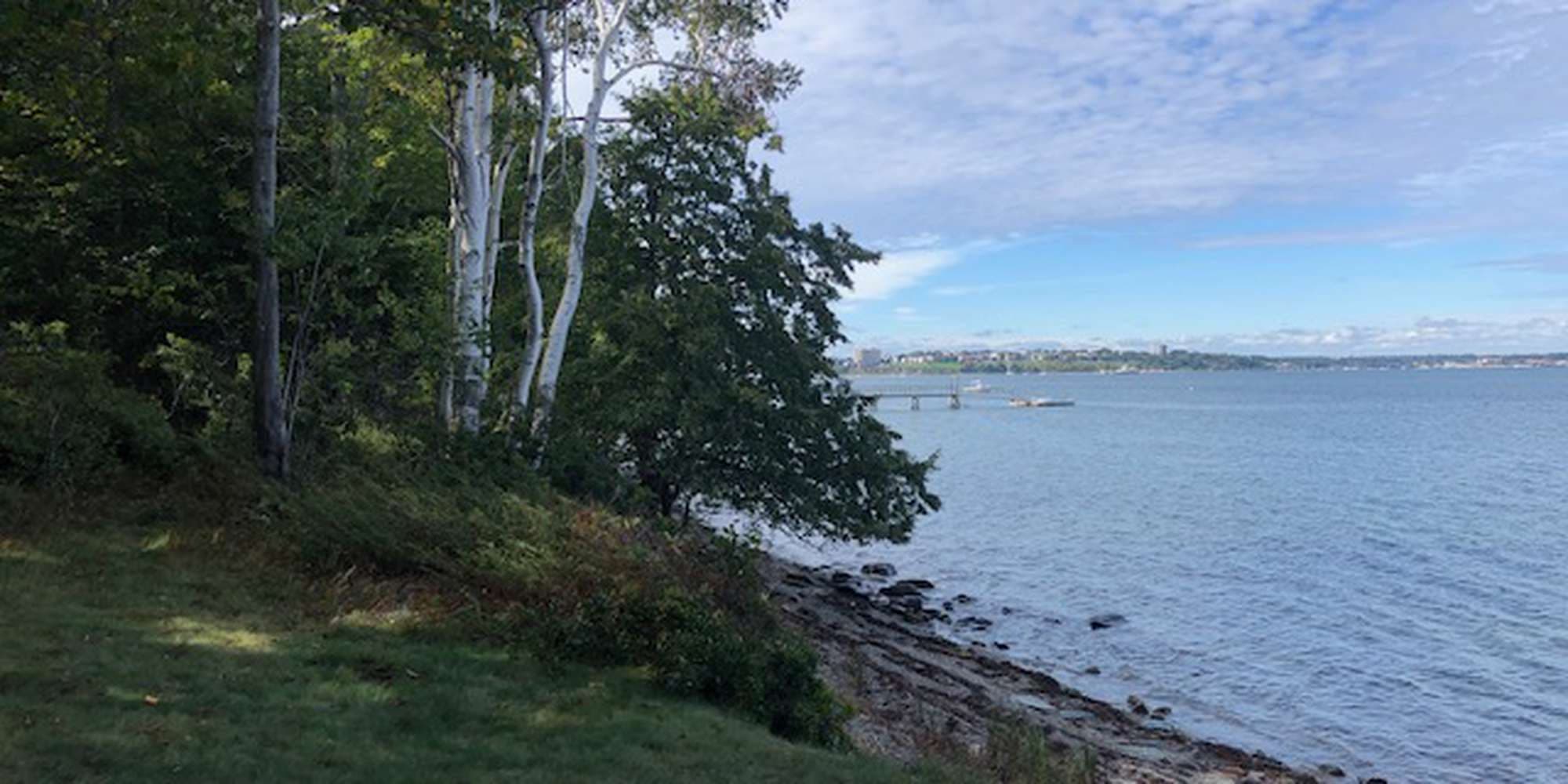 First image to compare