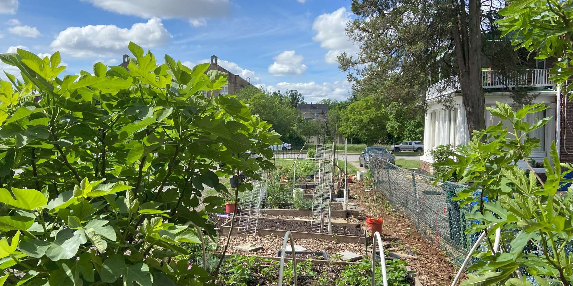 First image to compare