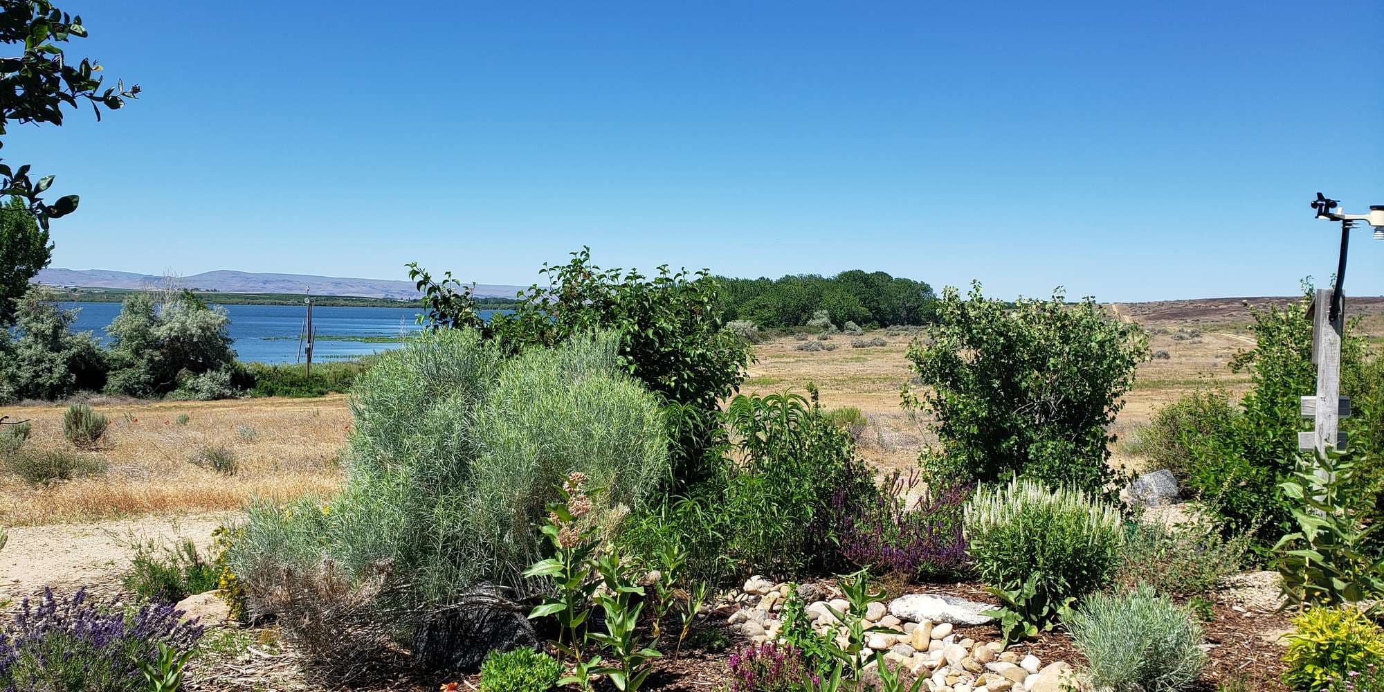 First image to compare