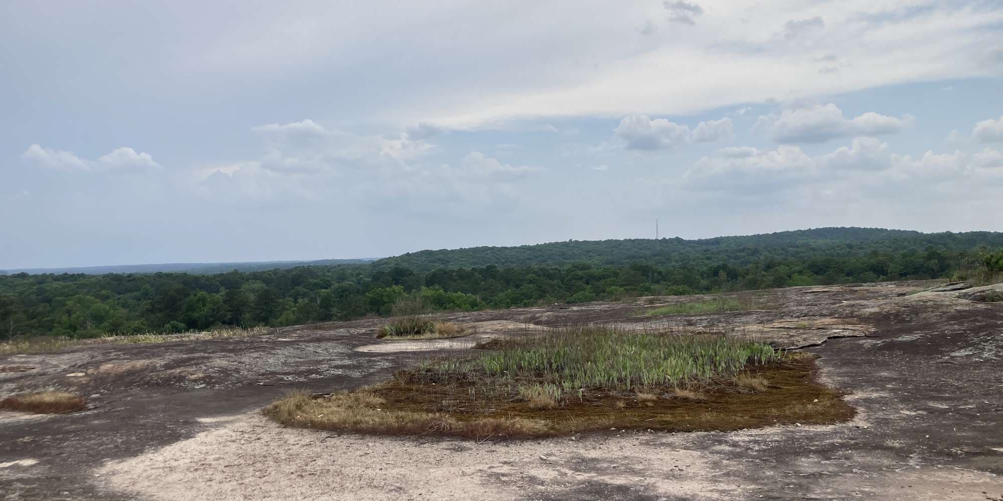 First image to compare