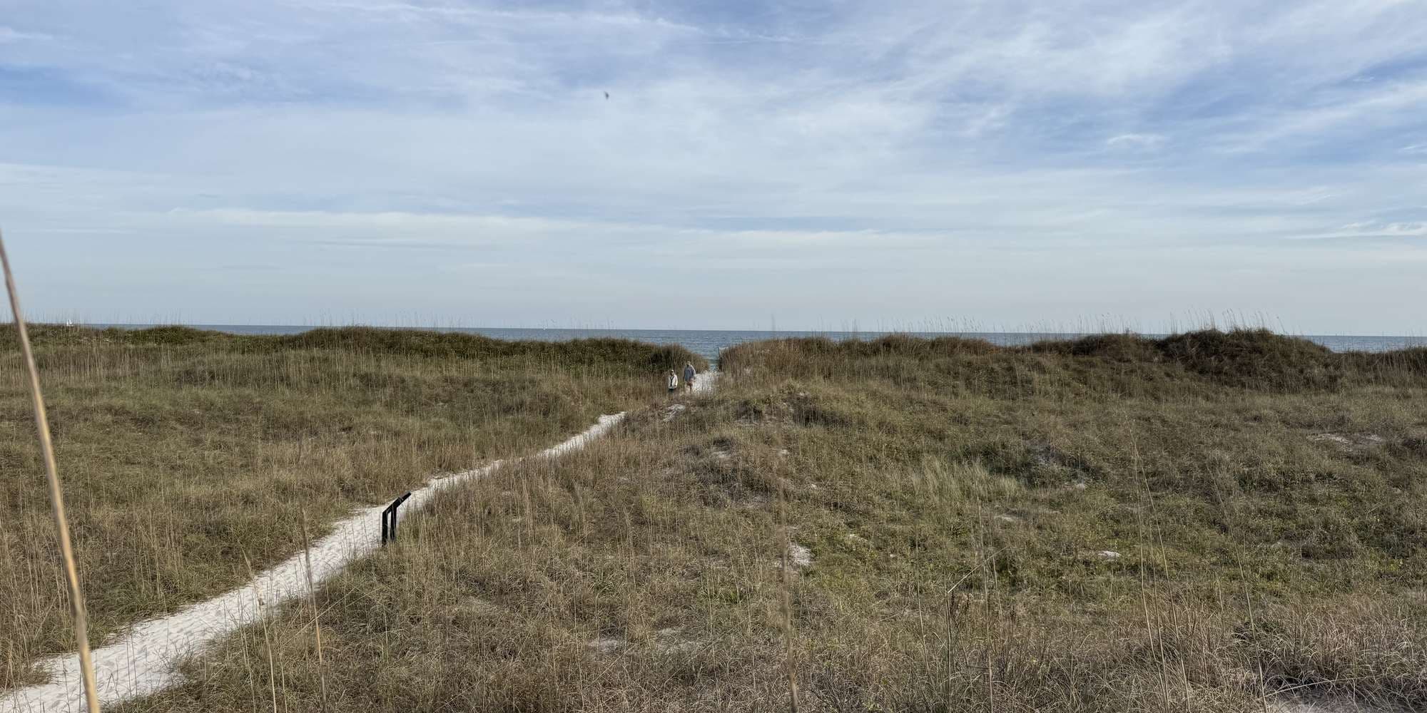 Second image to compare