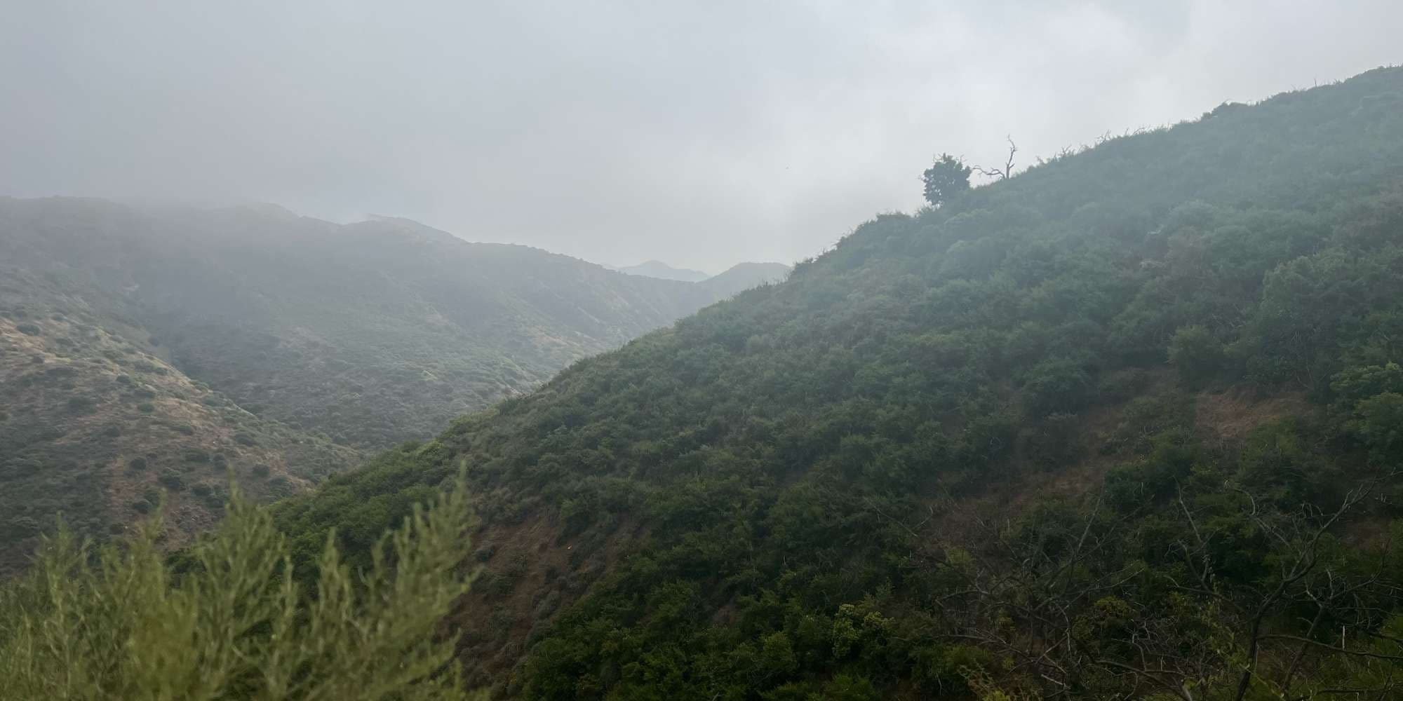 First image to compare