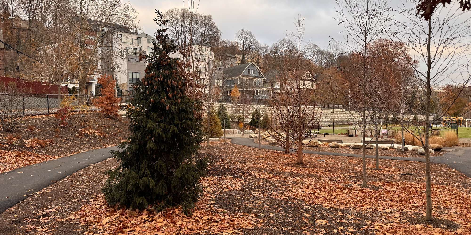 Second image to compare