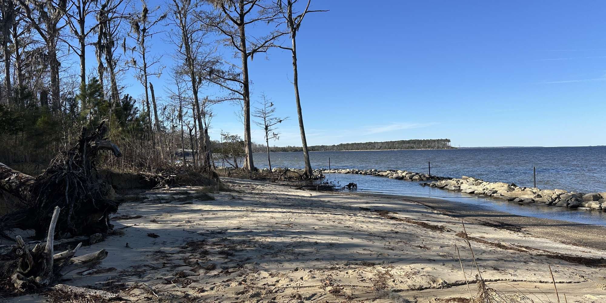 Second image to compare