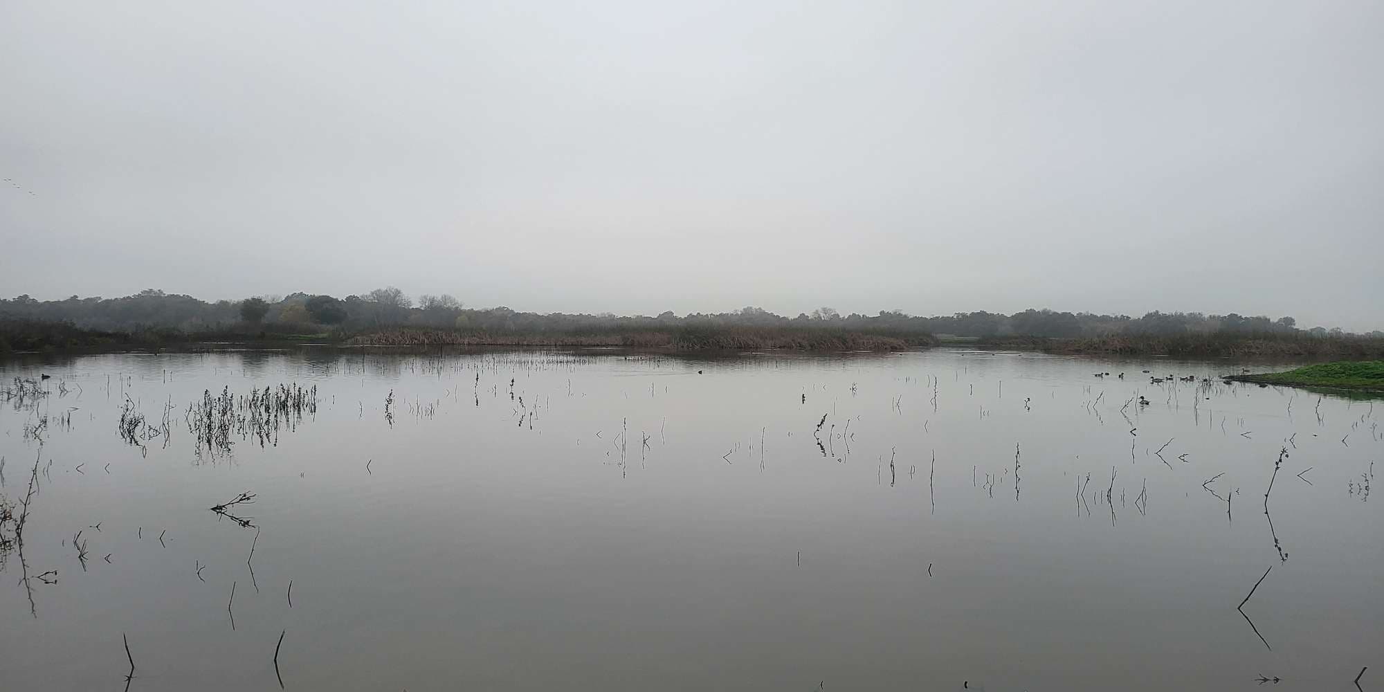 Second image to compare