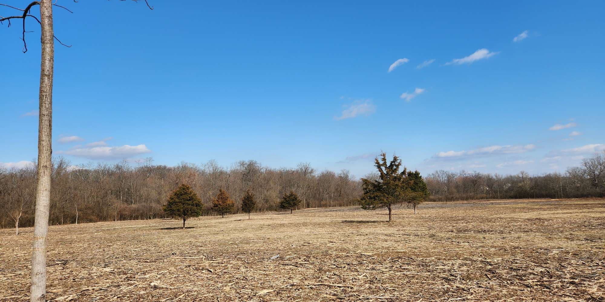 First image to compare