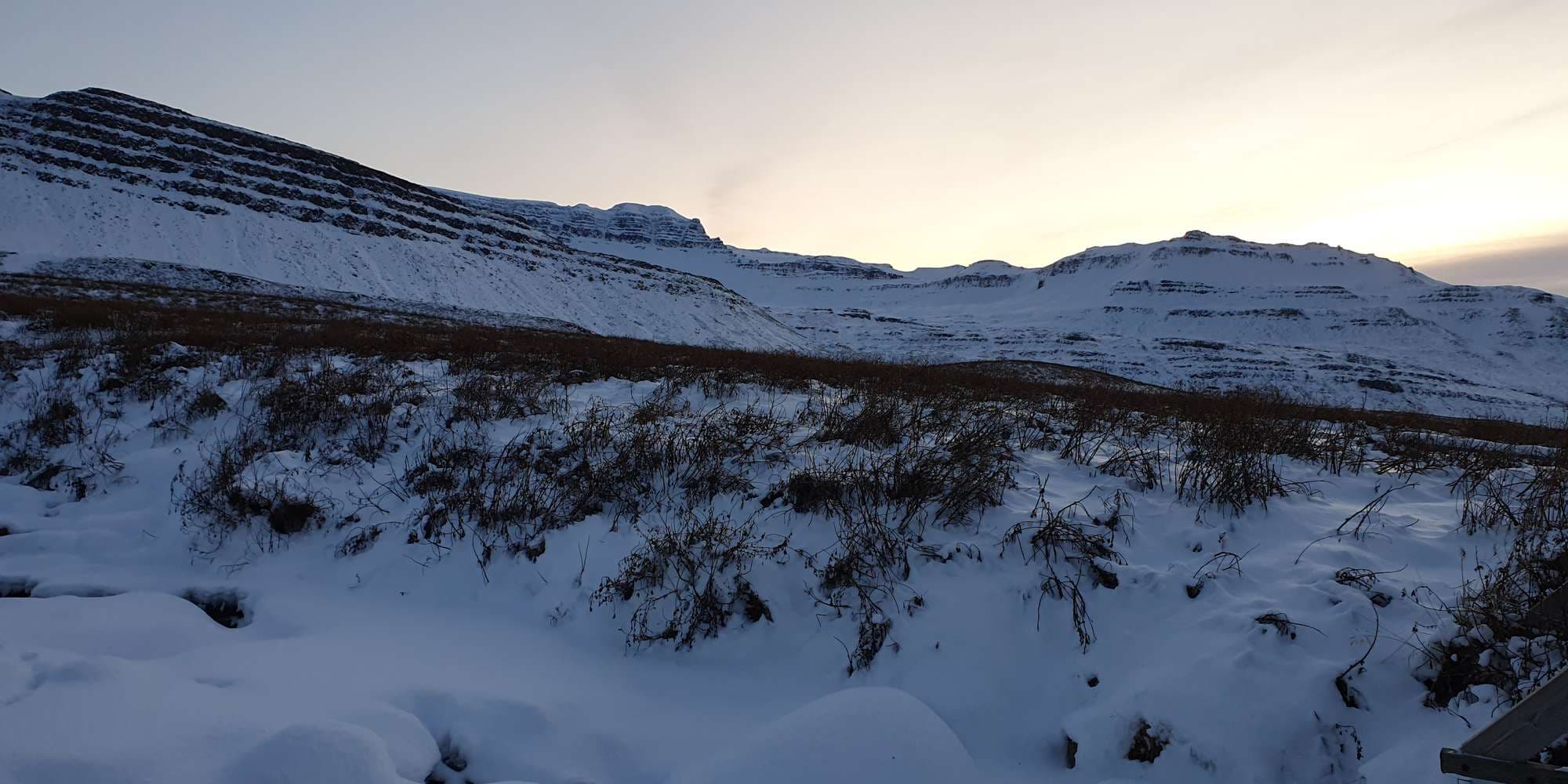 Second image to compare