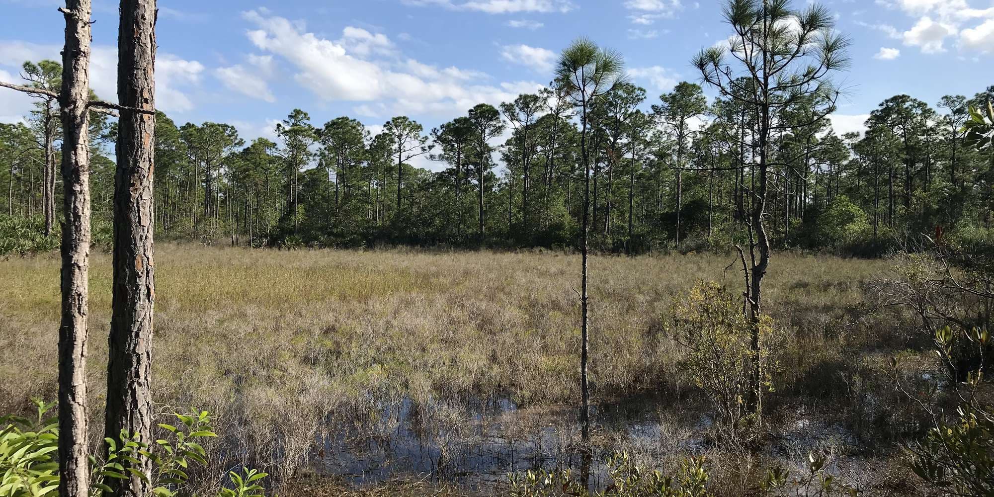 First image to compare