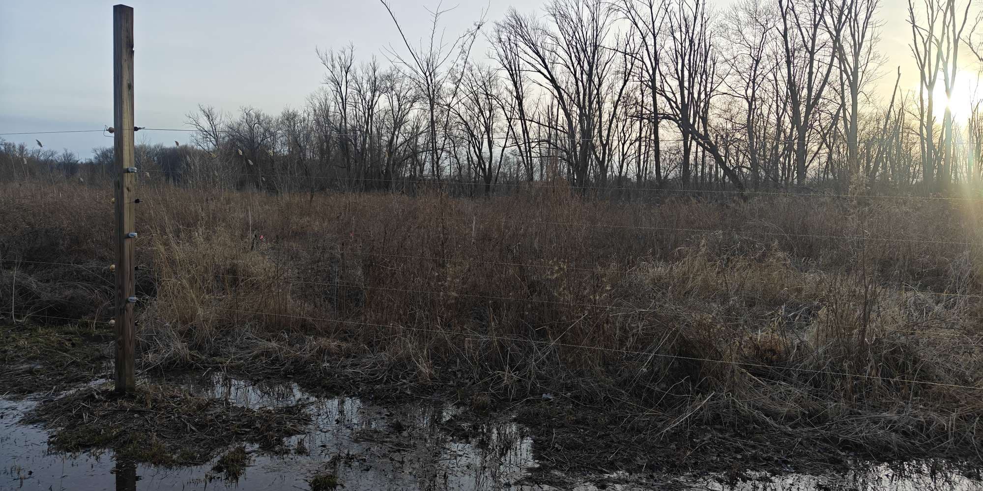 Second image to compare