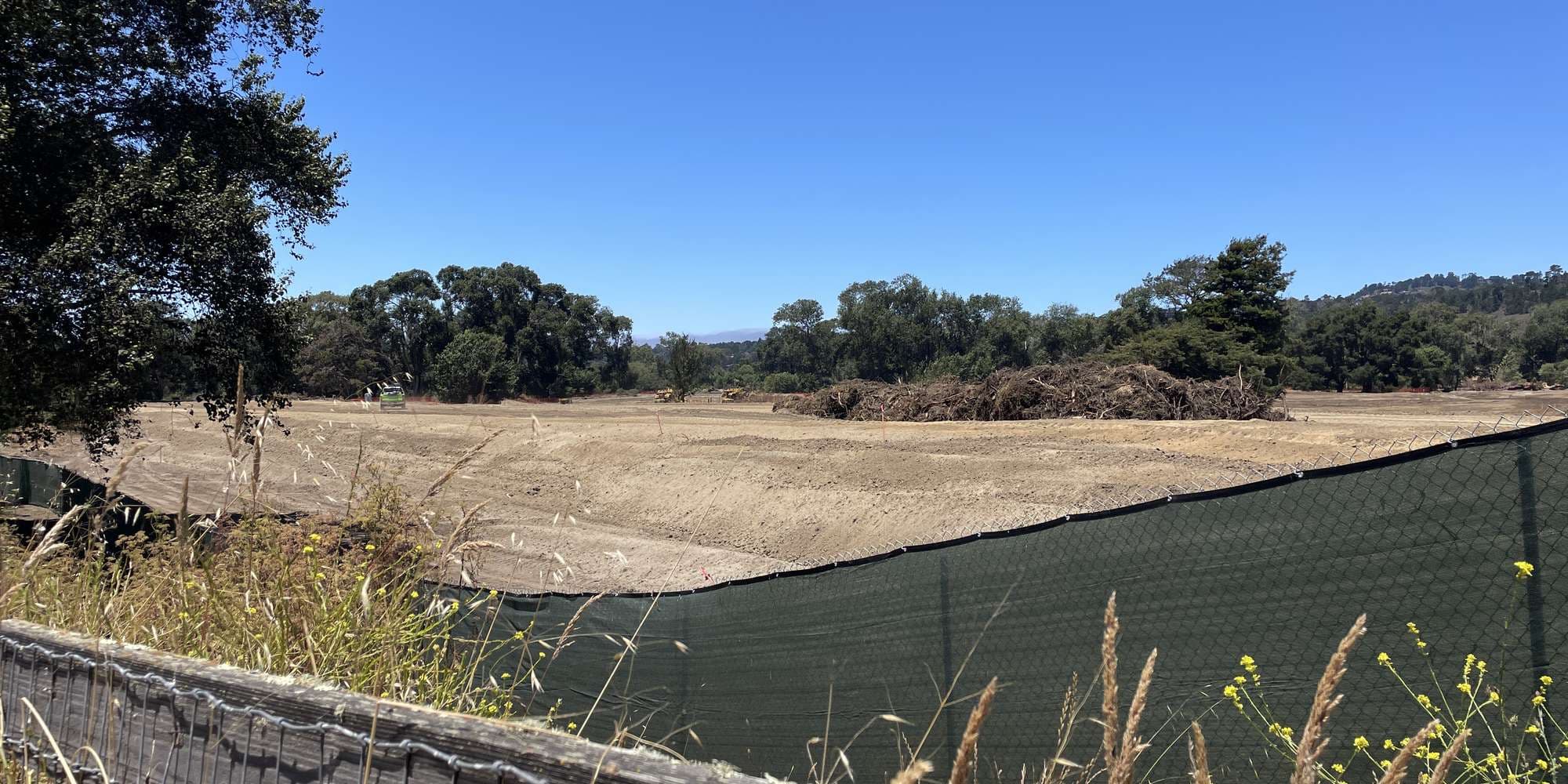 First image to compare