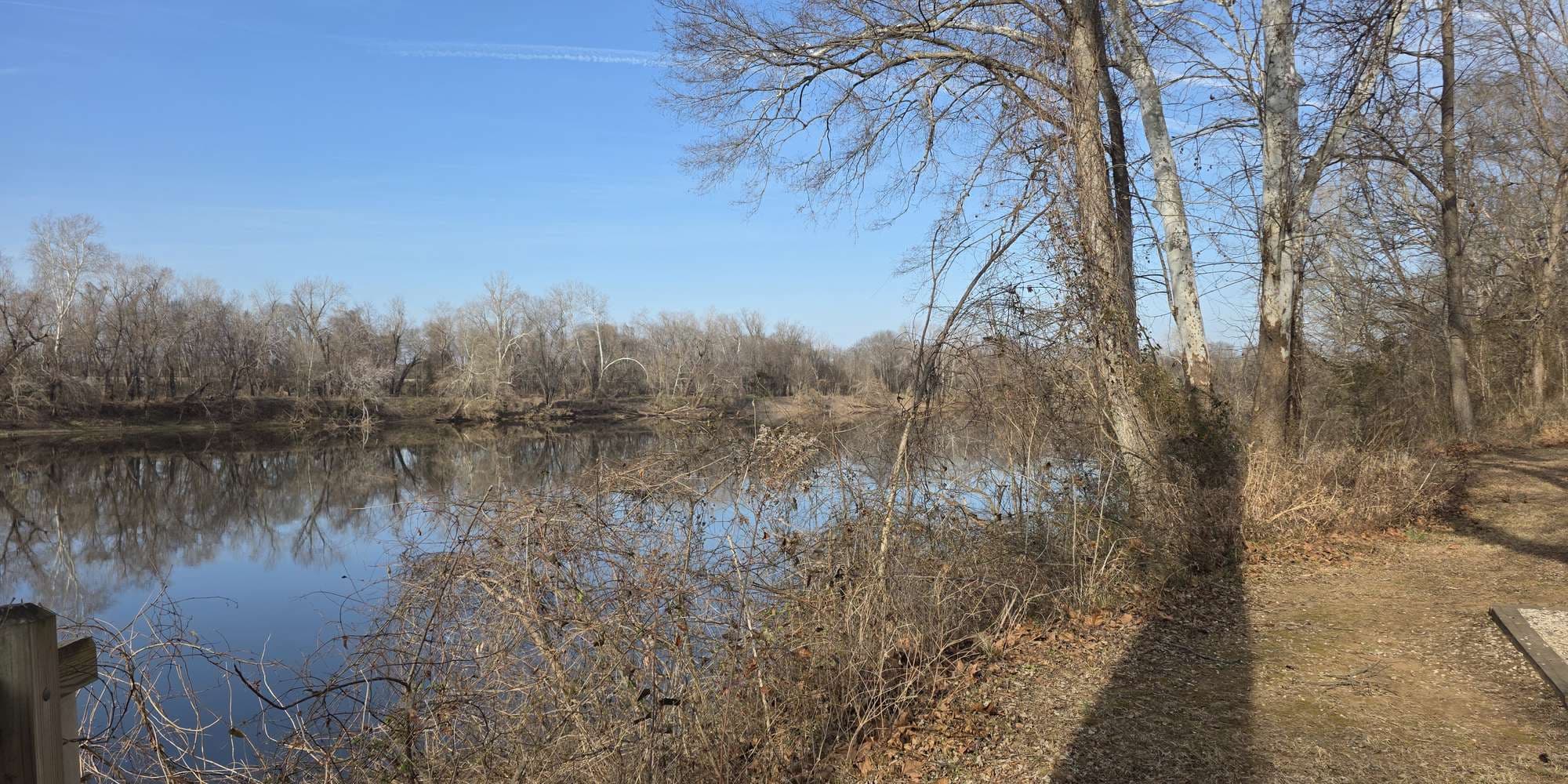 Second image to compare