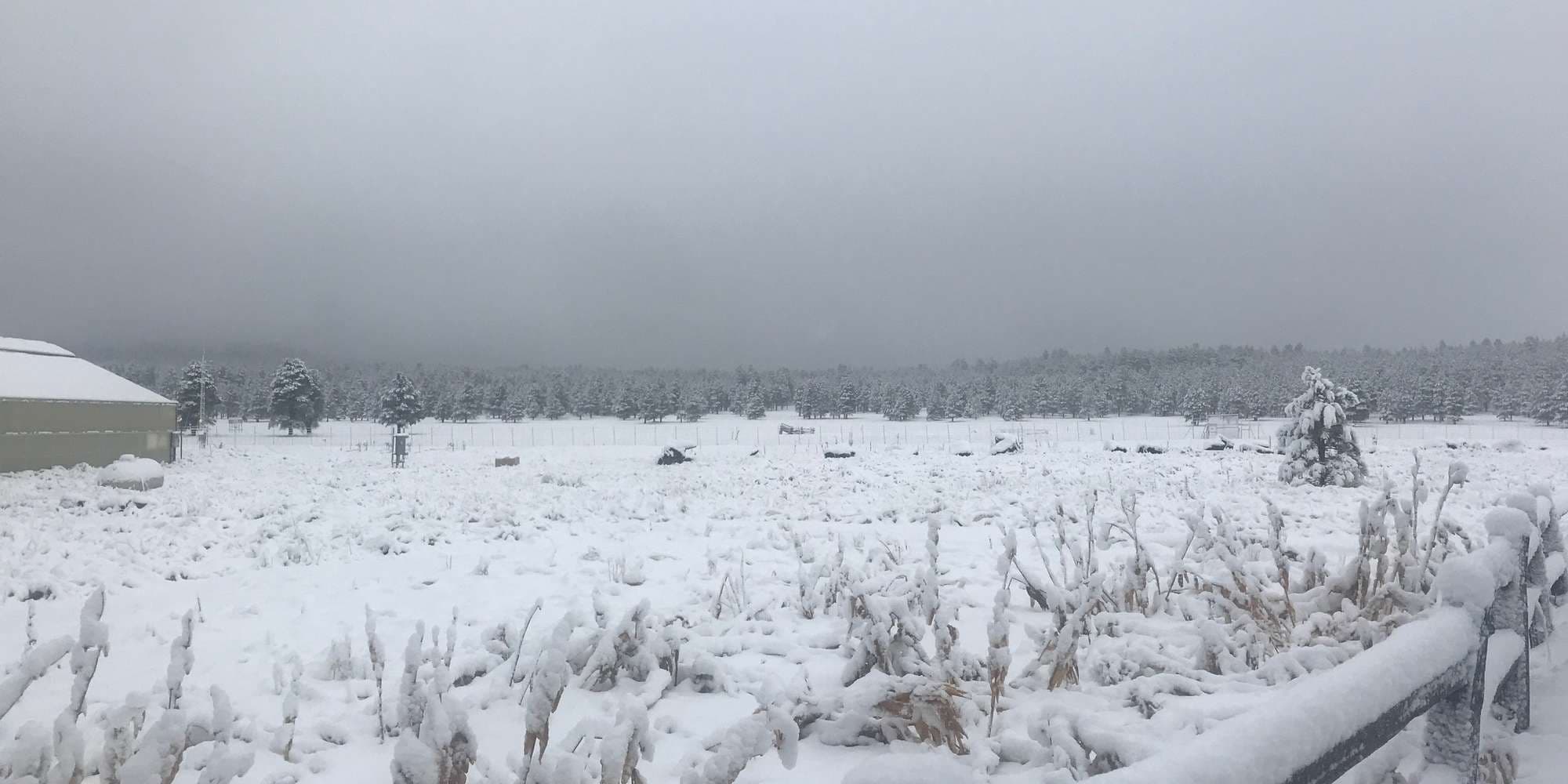 First image to compare