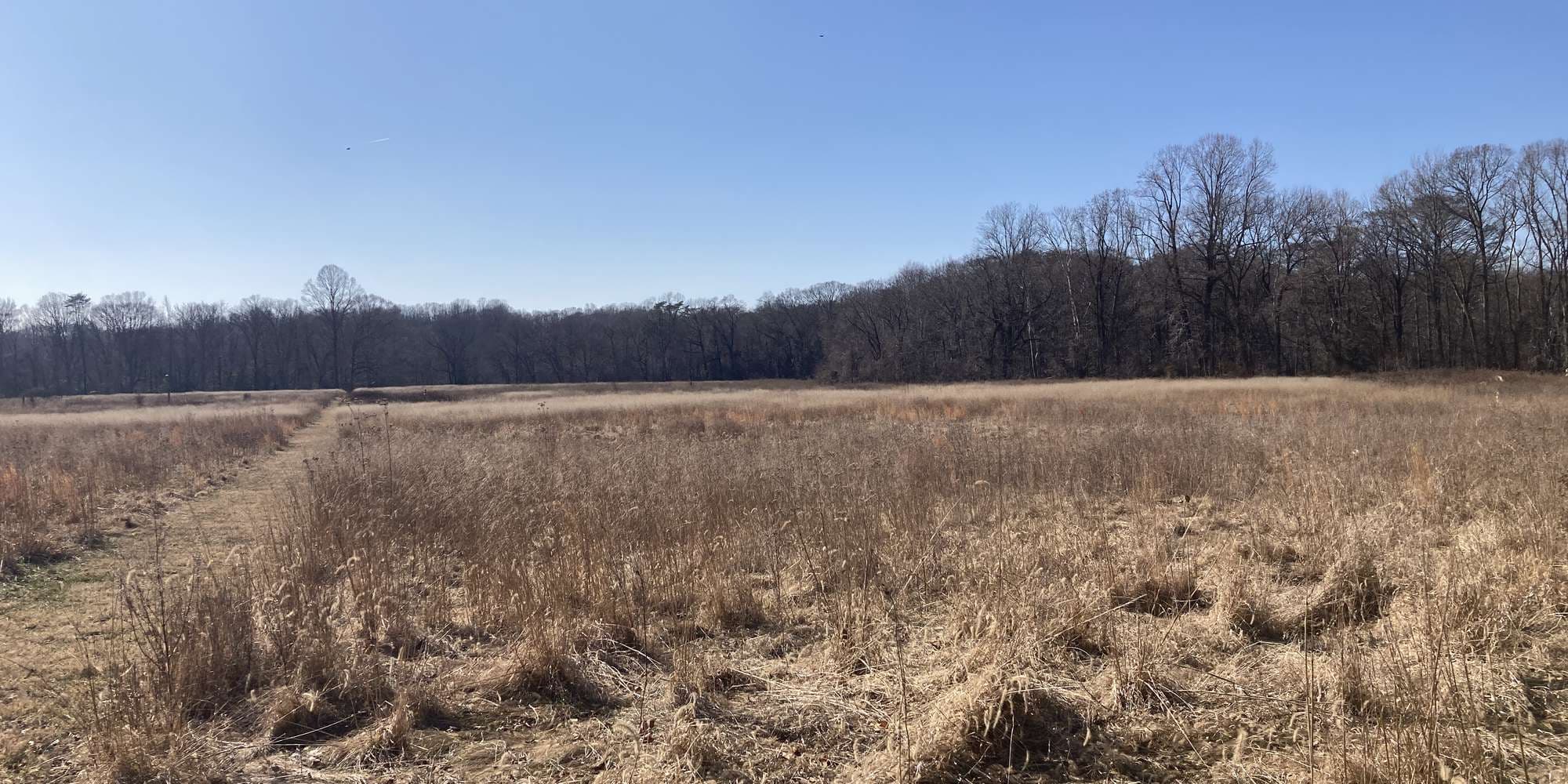 First image to compare