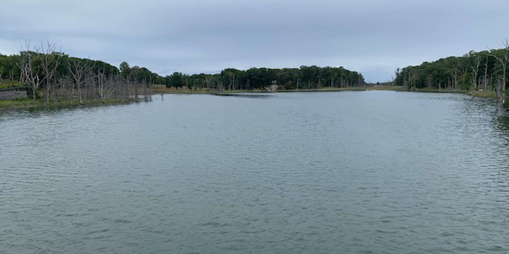 First image to compare