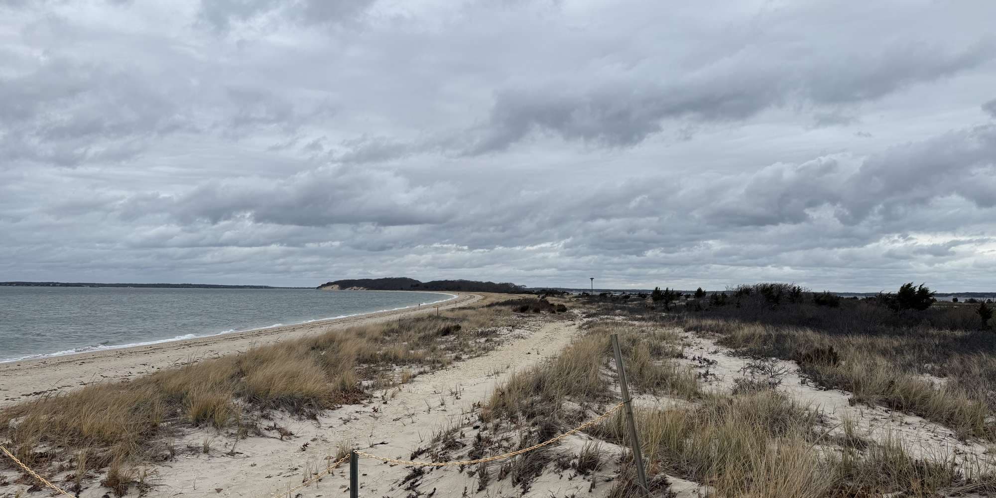 Second image to compare