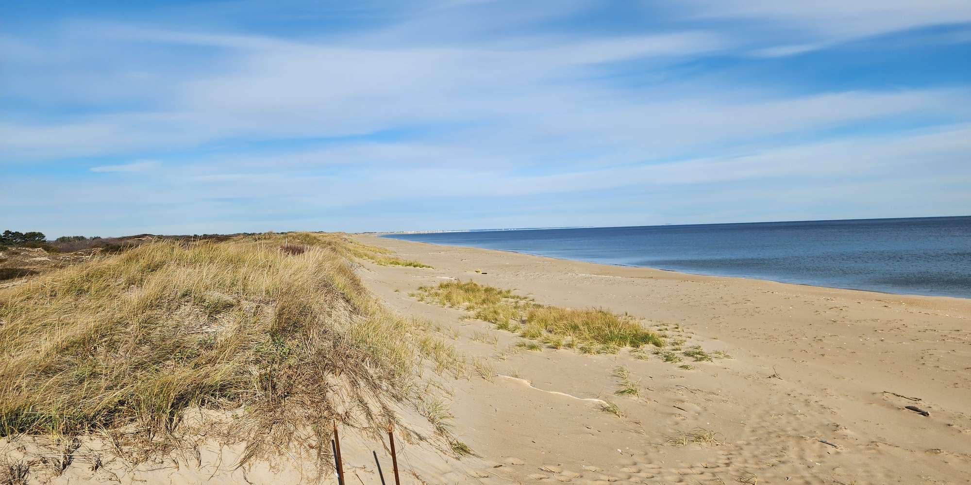 First image to compare