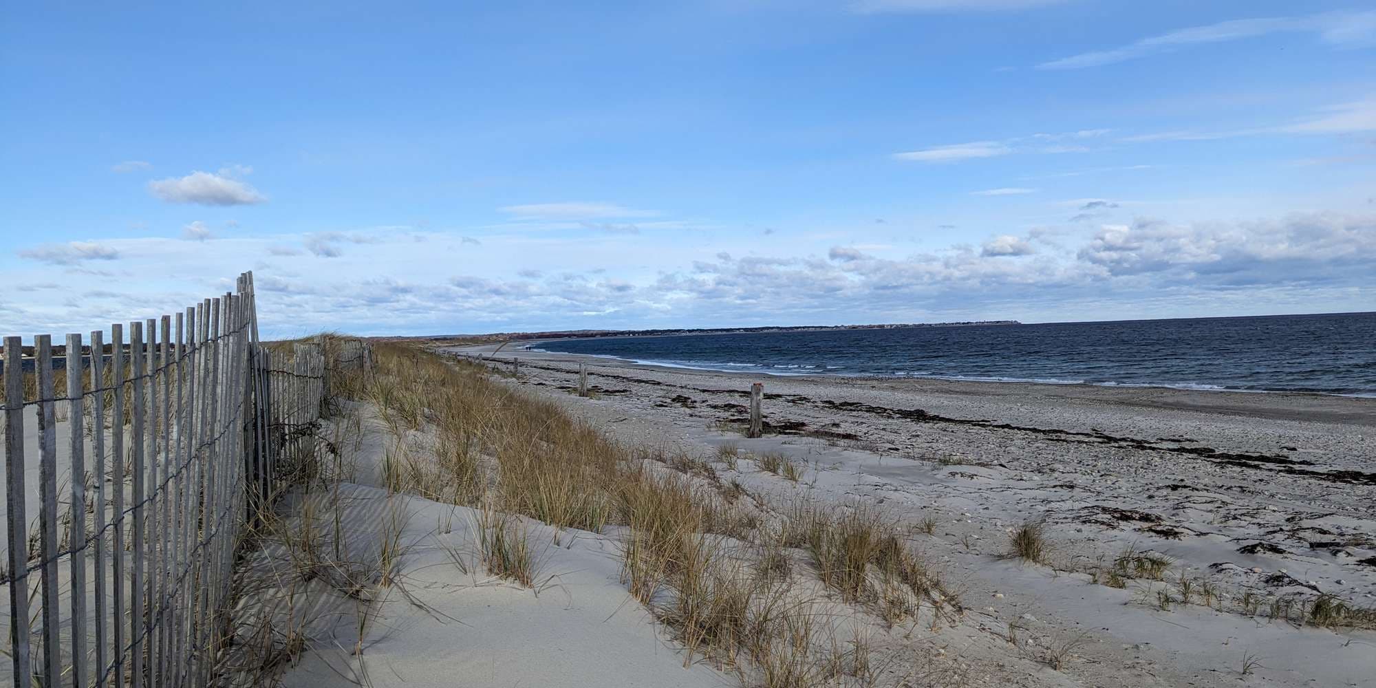 Second image to compare