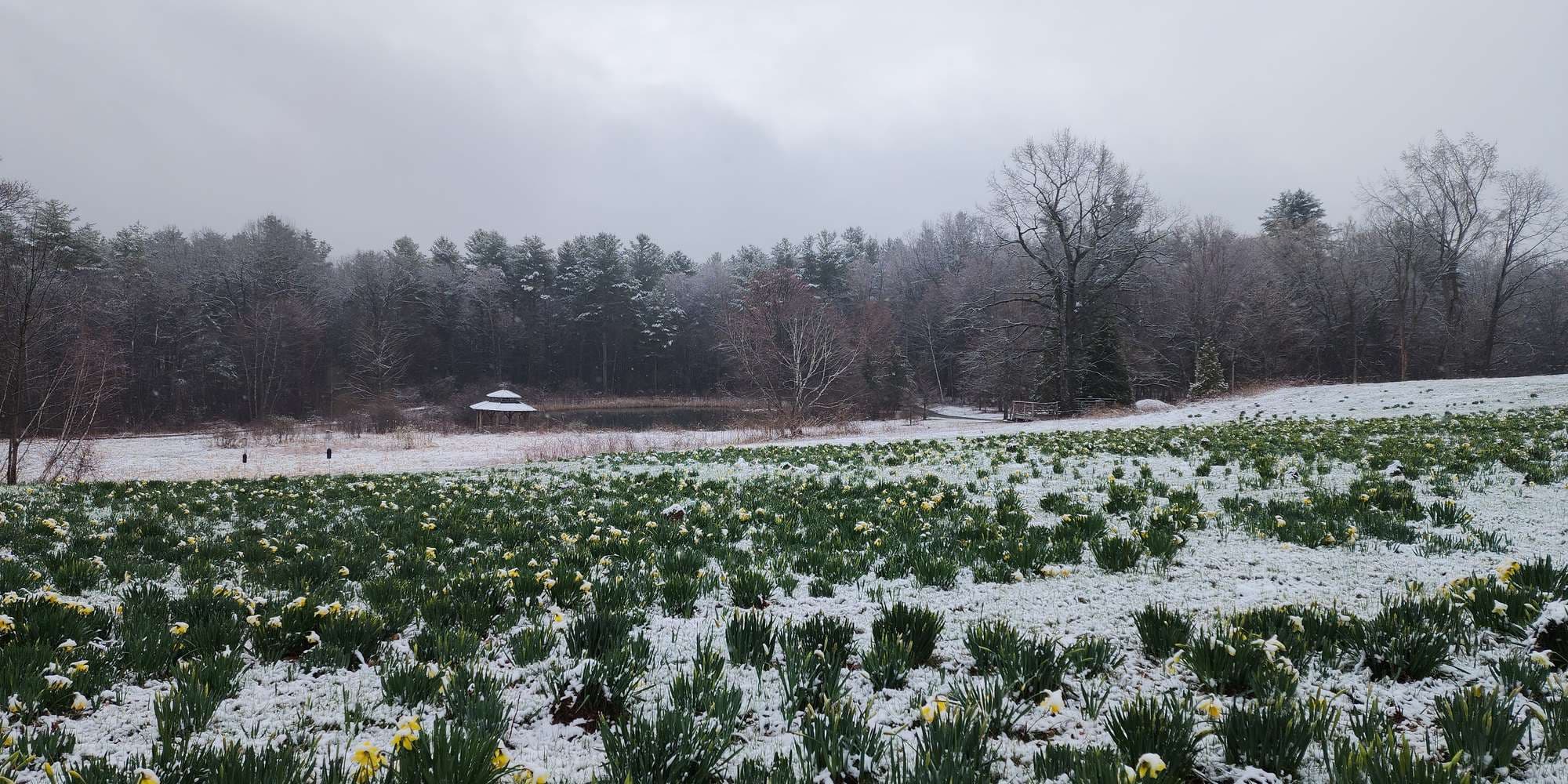 First image to compare