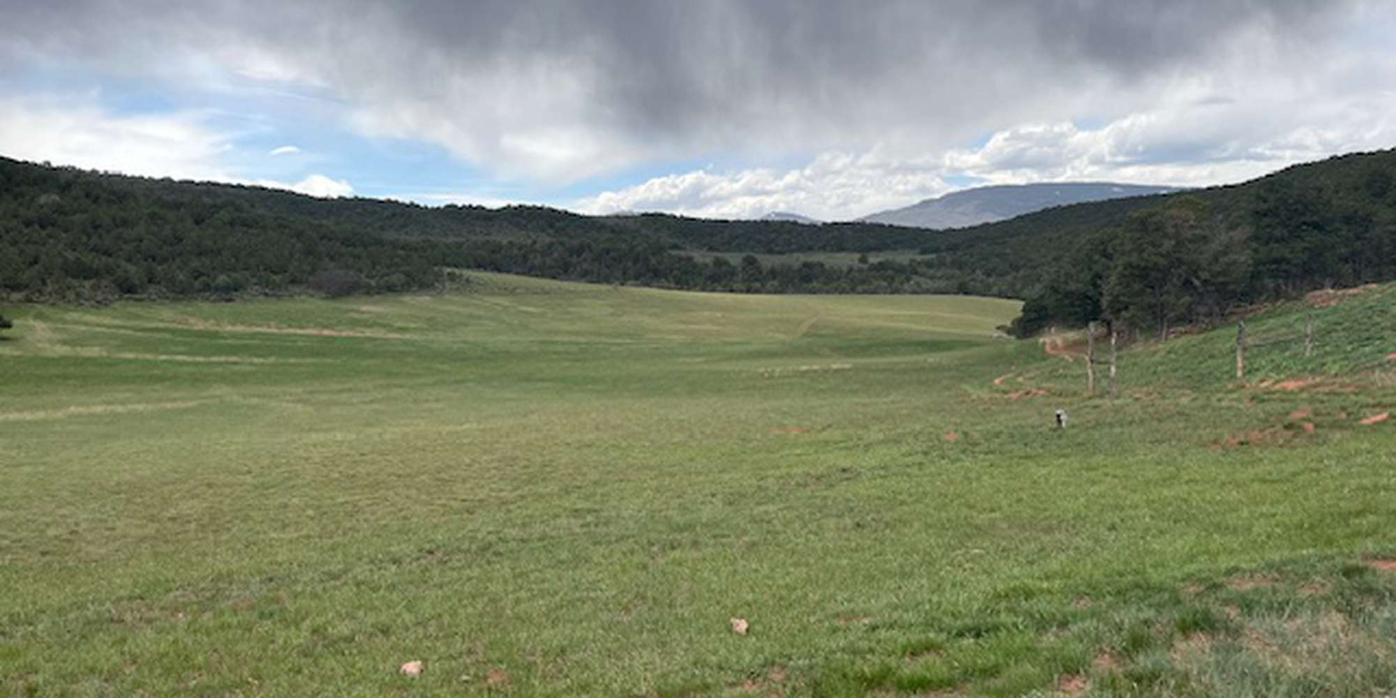 Second image to compare