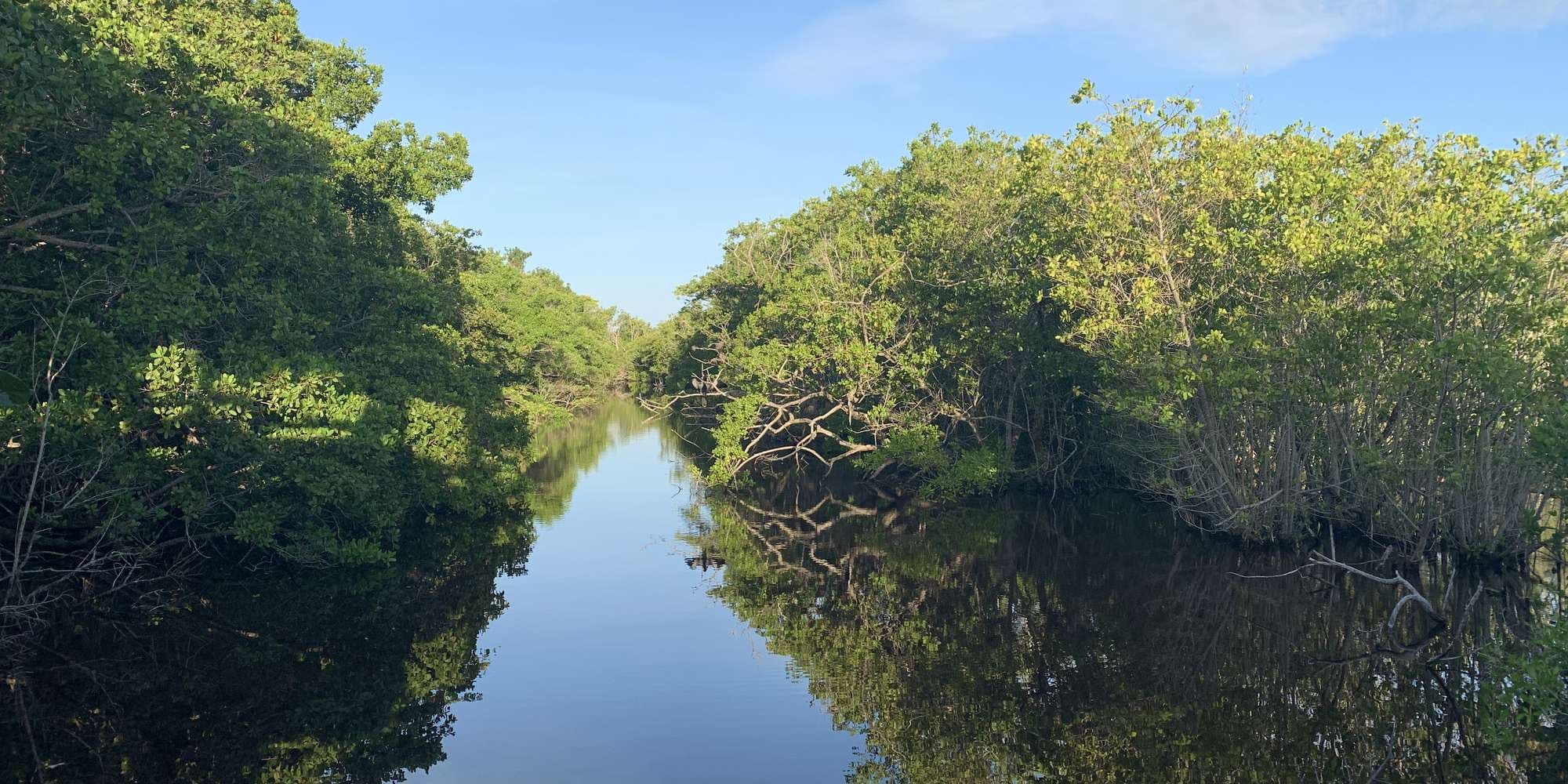 First image to compare