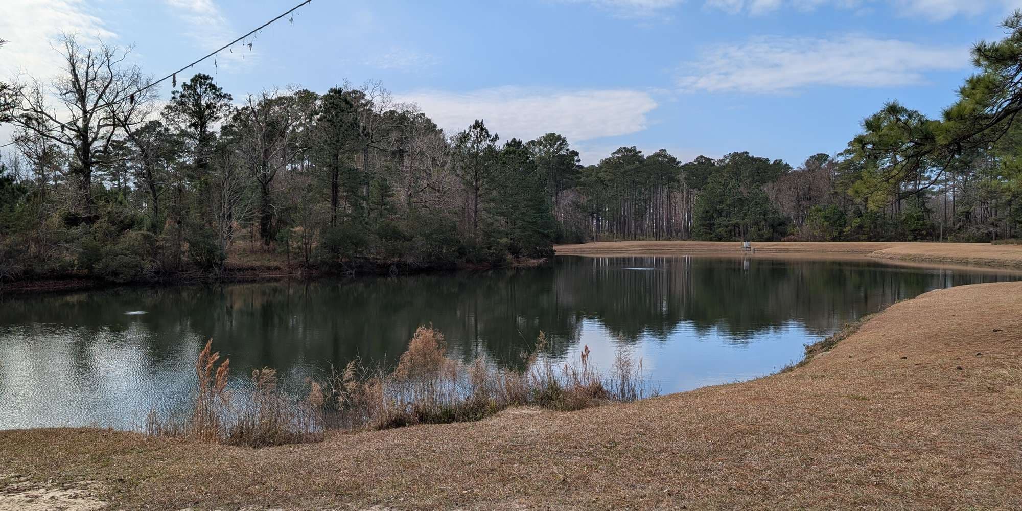 Second image to compare