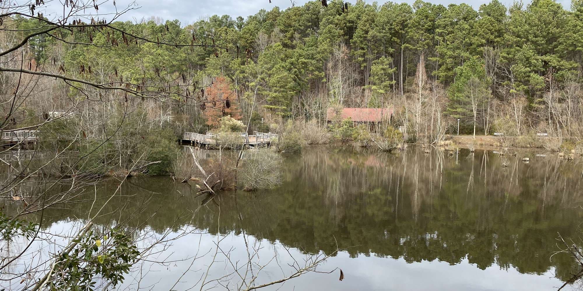 First image to compare