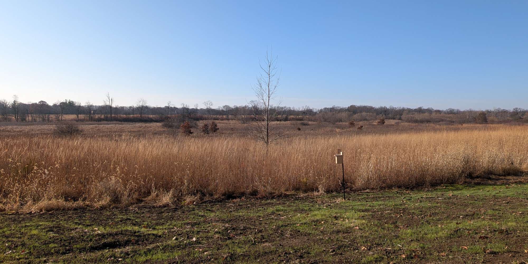 Second image to compare